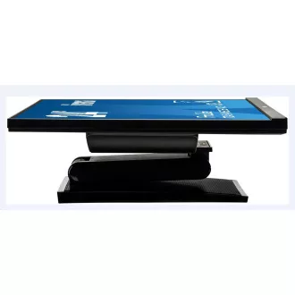 Monitor na dotik Iiyama ProLite T2454MSC-B1AG, 60 cm (23, 6''), CAP 10 dotikov, Full HD, črn
