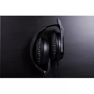 ACER Predator GALEA 311 - igralne slušalke - 3,5 mm jack; 50 mm pretvorniki; frekvenčno območje 20 Hz-20 kHz; impedanca 32 Ohmov ± 15 % ACER Predator GALEA 311 - igralne slušalke - 3,5 mm jack; 50 mm pretvorniki; frekvenčno območje 20 Hz-20 kHz; impedanca 32 Ohmov ± 15 %
