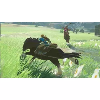 SWITCH The Legend of Zelda: Dih divjine