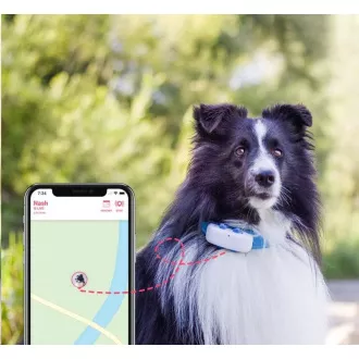 Tractive GPS DOG 4 - GPS lokacija in sledenje dejavnosti za pse Tractive GPS DOG 4 - GPS lokacija in sledenje dejavnosti za pse