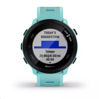 Garminova GPS športna ura Forerunner 55 Blue