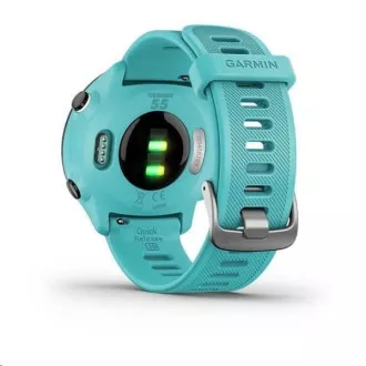 Garminova GPS športna ura Forerunner 55 Blue