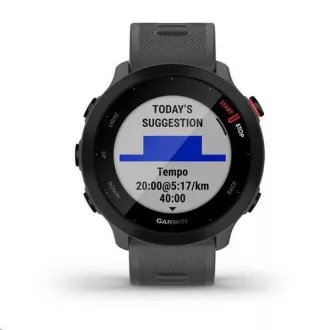 Garminova športna ura GPS Forerunner 55 siva