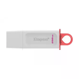 Kingstonov bliskovni disk 256 GB USB3.2 Gen1 DataTraveler Exodia (bela   roza)