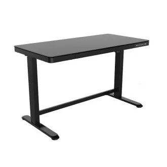 Delso WORKSTATION Električna miza z nastavljivo višino črna