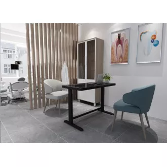 Delso WORKSTATION Električna miza z nastavljivo višino črna