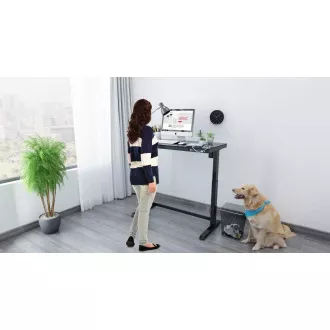 Delso WORKSTATION Električna miza z nastavljivo višino črna