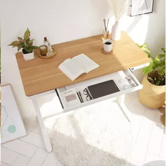 Delso WORKSTATION Električna miza z nastavljivo višino hrast/bela