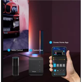 Govee Flow PRO SMART LED TV in igranje iger - RGBICWW