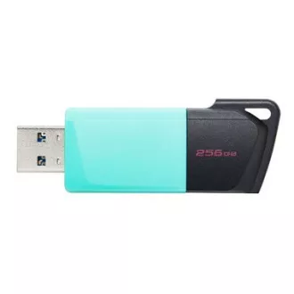 Kingstonov bliskovni disk 256 GB USB3.2 Gen 1 DataTraveler Exodia M (črna   teal)