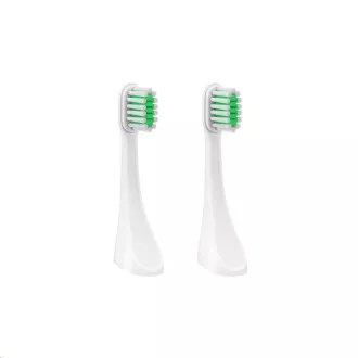 TrueLife SonicBrush Travel T100 Glave Standard