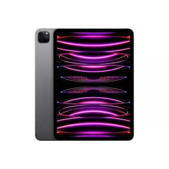 APPLE 11" iPad Pro (4. generacija) Wi-Fi   Cellular 1TB - vesoljsko siva
