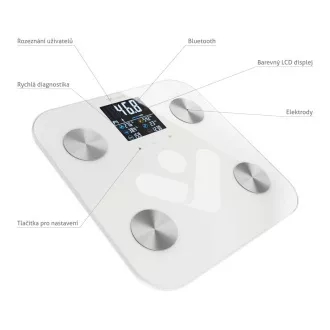 TrueLife FitScale W6 BT - Bioelektrična impedančna tehtnica bluetooth - bela