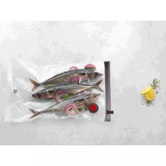 ZWILLING plastične vakuumske vrečke za živila, 49 x 30 cm, velikost L, 3 kosi - Fresh & Save
