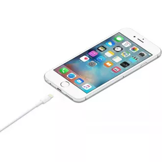 Kabel USB s priključkom Lightning (2 m)