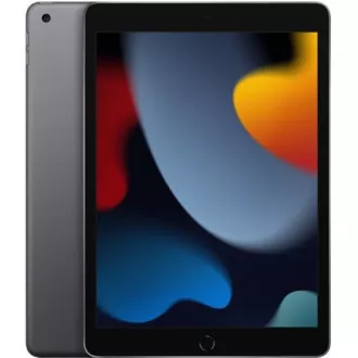 APPLE iPad 10, 2" (9. generacija) (2021) Wi-Fi 64 GB - vesoljsko siva