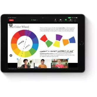 APPLE iPad 10, 2" (9. generacija) (2021) Wi-Fi 64 GB - vesoljsko siva