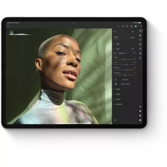 APPLE iPad 10, 2" (9. generacija) (2021) Wi-Fi 64 GB - srebrna APPLE iPad 10, 2" (9. generacija) (2021) Wi-Fi 64 GB - srebrna