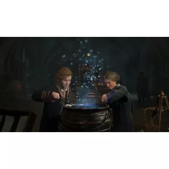 Igra za sistem PS4 Zapuščina Bradavičarke