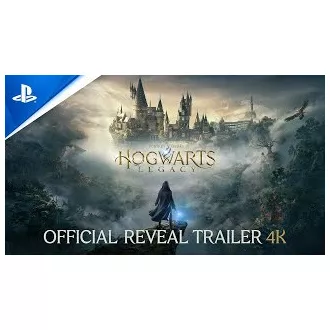 Igra za sistem PS4 Zapuščina Bradavičarke