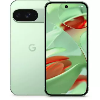 Google Pixel 9 - 256 GB zimzelene barve, EU Google Pixel 9 - 256 GB zimzelene barve, EU