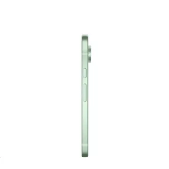 Google Pixel 9 - 256 GB zimzelene barve, EU Google Pixel 9 - 256 GB zimzelene barve, EU