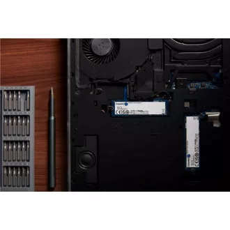 Kingston SSD 500 GB NV3, M.2 2280, NVMe PCIe Gen4x4, (R: 5000 MB/s; W: 3000 MB/s)