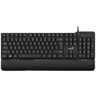 Tipkovnica GENIUS KB-100XP, žična, Ergo mat, USB, CZ SK postavitev Tipkovnica GENIUS KB-100XP, žična, Ergo mat, USB, CZ SK postavitev