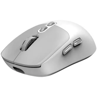 GENIUS miška NX-8080S BT/ dvojni Bluetooth   2, 4GHz/ 1600 dpi/ Copilot/ brezžična/ tiha/ bela/siva