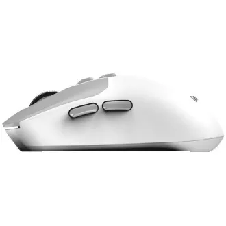 GENIUS miška NX-8080S BT/ dvojni Bluetooth   2, 4GHz/ 1600 dpi/ Copilot/ brezžična/ tiha/ bela/siva
