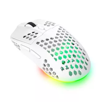 TRUST Brezžična miška GXT 929W Helox Lightweight, RGB, bela
