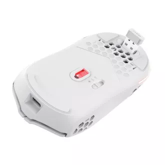 TRUST Brezžična miška GXT 929W Helox Lightweight, RGB, bela