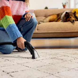 Kärcher SE 3 Compact Home Sweeper
