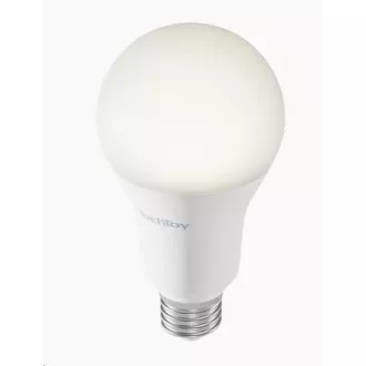 TechToy Pametna žarnica RGB 11W E27 komplet 3 kosov
