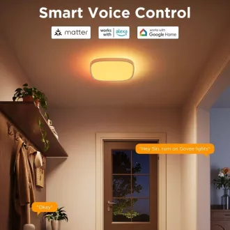 Govee RGBICWW Smart kvadratna stropna svetilka 2400lm 30cm Matter