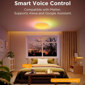 Govee RGBICWW Smart okrogla stropna svetilka 4300lm 38cm Matter