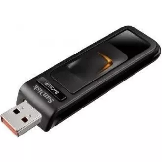 SanDisk Flash disk 32 GB Cruzer Blade, USB 2.0, črn