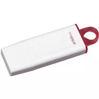 Kingstonov bliskovni disk 256 GB USB3.2 Gen1 DataTraveler Exodia (bela   roza)
