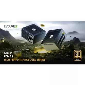 EVOLVEO G650 napajalnik 650W, 80  GOLD, ATX 3.1, aPFC, 140 mm ventilator