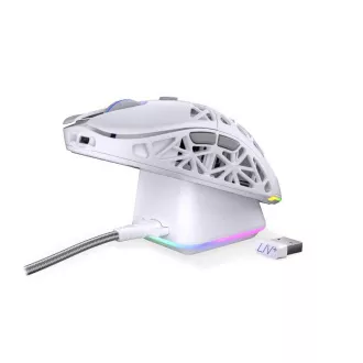 Endorfy Gaming Mouse LIV Plus Wireless Onyx White, brezžična, ARGB, bela