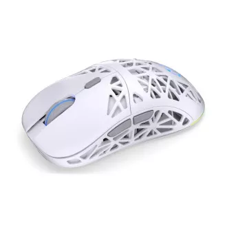 Endorfy Gaming Mouse LIV Plus Wireless Onyx White, brezžična, ARGB, bela