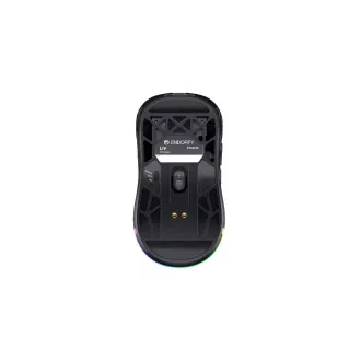 Endorfy Gaming Mouse LIV Wireless, brezžična, ARGB, črna