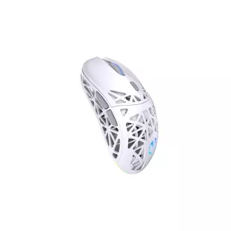 Endorfy Gaming Mouse LIV Wireless Onyx White, brezžična, ARGB, bela