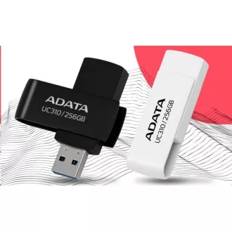 ADATA Flash disk 256 GB UC310, USB 3.2, črn