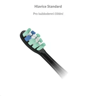 TrueLife SonicBrush Clean-series glave Standard black 2 pakiranja