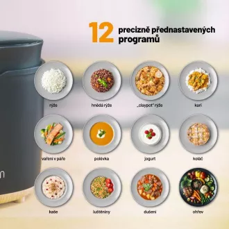 Lauben Večnamenski kuhalnik za riž 2000BW