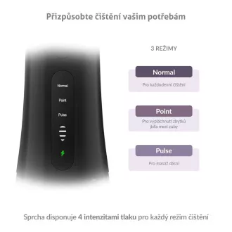 TrueLife AquaFloss Compact L100 Black Ustni tuš