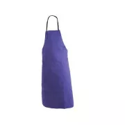 Predpasnik STELA, moder