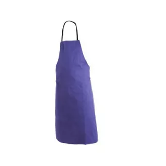 Predpasnik STELA, moder