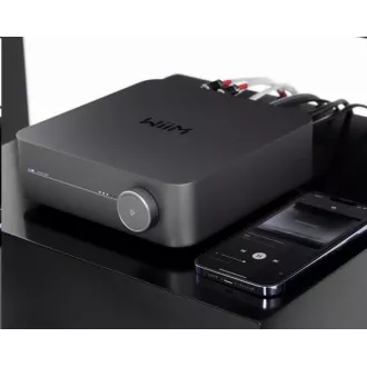 WiiM Amp temno siva